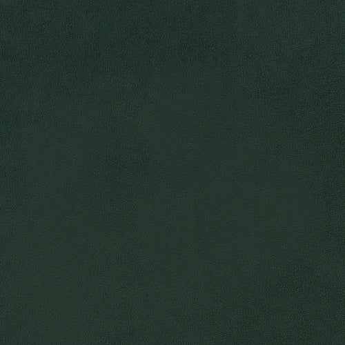 #25362e