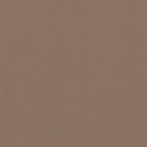 #8b7364