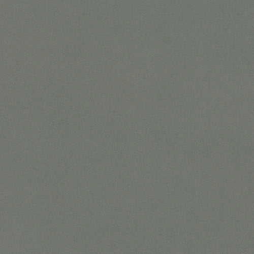 #72766f