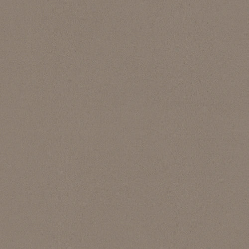 #8c7e71