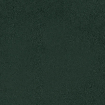#25362e