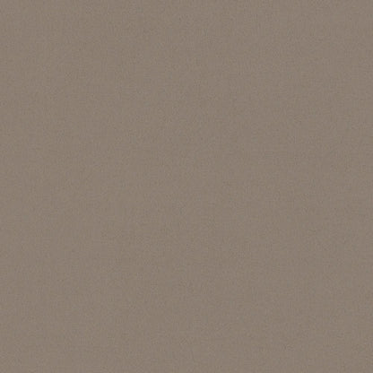 #8c7e71